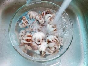 买回来的章鱼要用清水多清洗几遍。