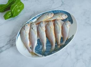 挑鱼可以看一下鱼鳃是不是鲜艳的，鲜艳说明都是新鲜的。