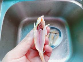 剪刀从鱼肚尾部剪开，去除不能吃的位置。