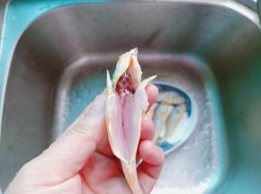 剪刀从鱼肚尾部剪开，去除不能吃的位置。