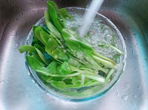 青菜加一点点盐，放入清水里清洗干净。