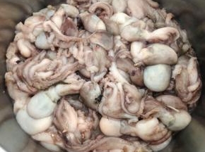 鲜活的章鱼准备做一道非常好吃的美味