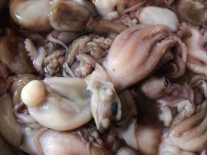 先将章鱼的内脏取出