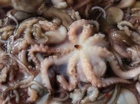将章鱼中间的小嘴牙挤出来