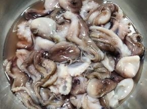 清洗干净的章鱼沥干水份备用