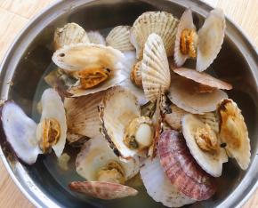 煮好的扇贝都张开了大嘴满屋飘着鲜味