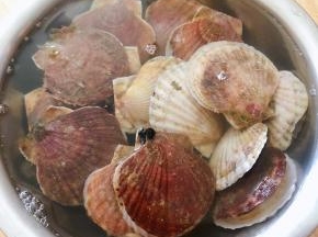 鲜活的扇贝在清水中多冲洗几遍去除泥沙和杂质