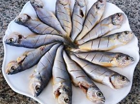 黄花鱼依次摆入盘中