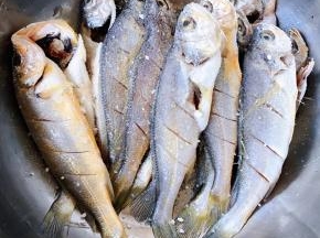 撒上盐和料酒轻轻按摩均匀煨制十分钟入味