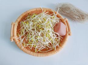 挑选新鲜的豆芽来炒，粉丝是自己家里做的，特别劲道爽滑。