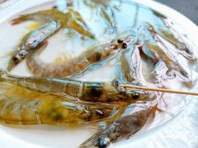 剪去虾强，尽量贴着壳，要紧贴着根部往下多剪一点，再用牙签或者叉子把虾胃【也叫沙包】挑出来，留下的虾黄则是非常鲜美的！