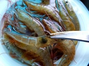 用剪刀剪去虾枪和虾须，吃的时候免得扎到嘴巴。