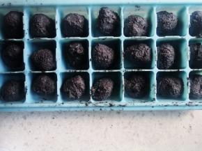 平均分成32份，放冰箱冷冻超过半天