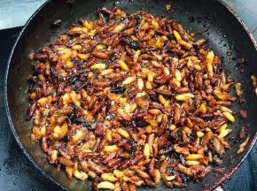 原汁原味的香酥蜂仁就做好了！只加了少许的盐调味，最大程度的保留了蜂仁原有的味道！吃上一口，香，酥，脆！喜欢的赶紧给你家宝贝做一点吧！