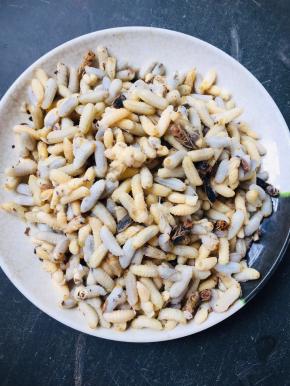 把蜂仁一个一个的取出来！