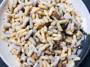 把蜂仁一个一个的取出来！