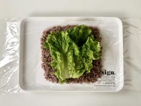 在杂粮饭上铺上洗净的生菜叶。