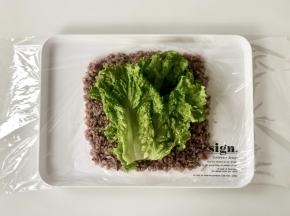 在杂粮饭上铺上洗净的生菜叶。