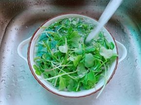 豆苗择去黄叶用清水清洗干净。