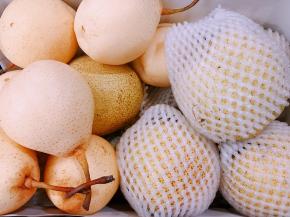 选用新鲜的雪梨汁水多