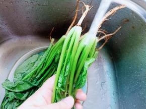 菠菜放在流水下将泥巴搓洗干净。
