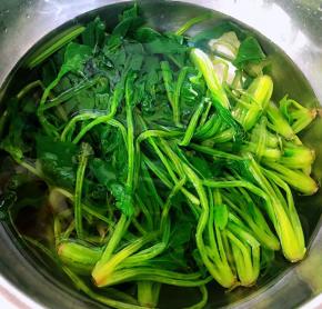 焯好水的菠菜立即放入冷水中过凉