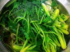 焯好水的菠菜立即放入冷水中过凉