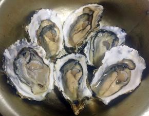 牡蛎买回来用小毛刷在流水中清洗干净，尽量不要让水流到牡蛎肉肉中这样会影响口感