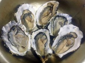 牡蛎买回来用小毛刷在流水中清洗干净，尽量不要让水流到牡蛎肉肉中这样会影响口感