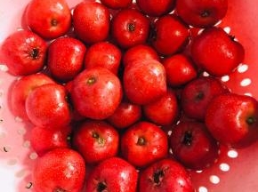 山楂清洗干净，沥干水分备用！