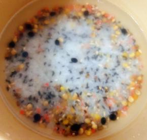 多谷米淘洗干净添加适量清水放入电饭煲中开始启动