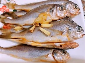 小黄鱼去鳞去内脏清洗干净后沥干水，加入姜丝和料酒腌制20分钟