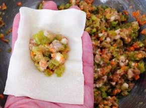 取一个馄饨皮将适量的馅料放入中间