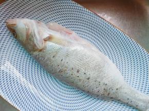 用剪刀把鱼稽剪了。