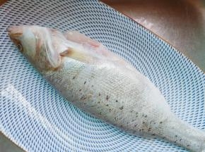 用剪刀把鱼稽剪了。