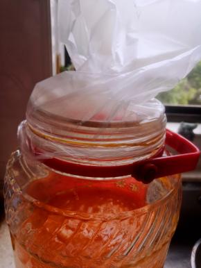 装入瓶子里，在瓶口套保鲜膜，用皮筋扎紧