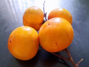 取成熟变软的柿子，清洗干净