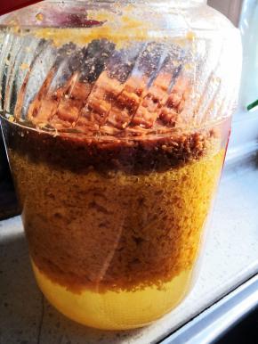 发酵前2天，每天摇晃瓶子几次，之后就可以不用摇晃，如果保鲜袋鼓起来，可以用手拉一下皮筋，挤出气体