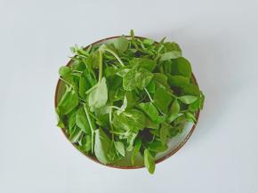 豌豆苗摘去老根。