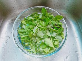 豌豆苗也放入清水中浸泡一下。