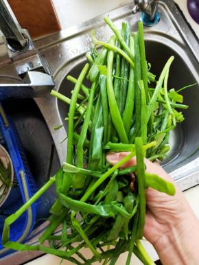 小葱洗净切白跟备用