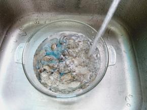 买回来的花蛤先用清水洗去表面的泥沙。