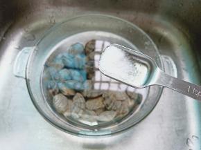 再把花蛤放入清水里，加盐、葱段可以吐出多余泥沙。