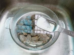 再把花蛤放入清水里，加盐、葱段可以吐出多余泥沙。