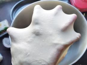 根据自己的机器设置合适的打面时间和方法，最后要能拉出结实的薄膜。这样吐司才能好吃。