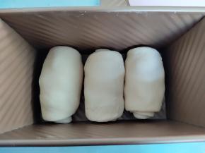 将三个卷依次做好，码入吐司盒，盖上，放温度地方发酵。至于发酵时间不好说，因为温度不一样，发酵时间也不一样，尽量控制在一小时左右，不要超过1个半小时。烤箱带发酵功能的可以用烤箱发酵。