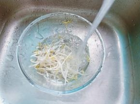 豆芽用清水清洗干净。