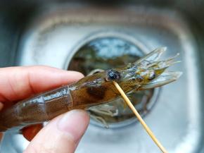 再用牙签挑出虾味胃。