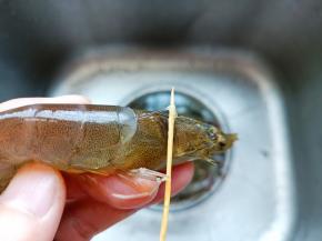 在虾头这个位置把虾线挑出来。