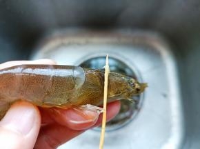 在虾头这个位置把虾线挑出来。